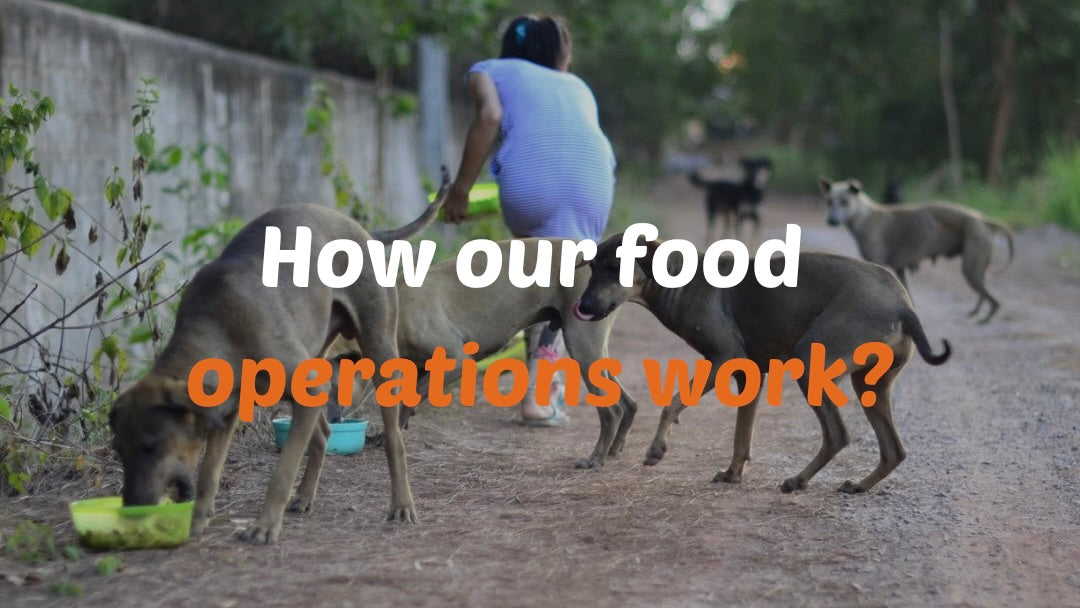 How Our Food Distribution Operations Work